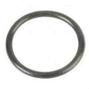 MAN O-RING ARC-EXP.402789 81965020044