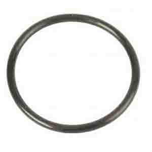 MAN O-RING ARC-EXP.402790 81965020045