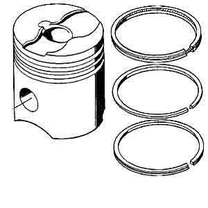 MAN PISTON &RING ARC-EXP.402794 51025017345
51025017300
51025017245
51025017346
51025017360
51025017239
51025016034
51025017597
51025017236
51025017210