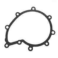 SCANIA WATER PUMP GASKET ARC-EXP.500525 1541633
541633
1374344